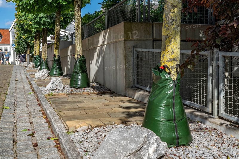 Treegator irrigation system, for targeted irrigation of trees in dry conditions, water bags that deliver water to the trees in 5-9 hours, food