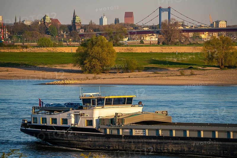 Cargo ship on the Rhine near Duisburg-Beeckerwerth, skyline of the city centre, with town hall, North Rhine-Westphalia State Archive Tower, Friedrich Ebert Bridge, Duisburg, North Rhine-Westphalia, Germany, Europe