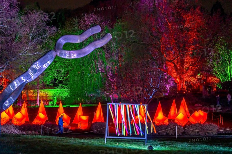 Parkleuchten, event in winter, in the Grugapark in Essen, many different light installations, across the park, attract many thousands of visitors, North Rhine-Westphalia, Germany, Europe