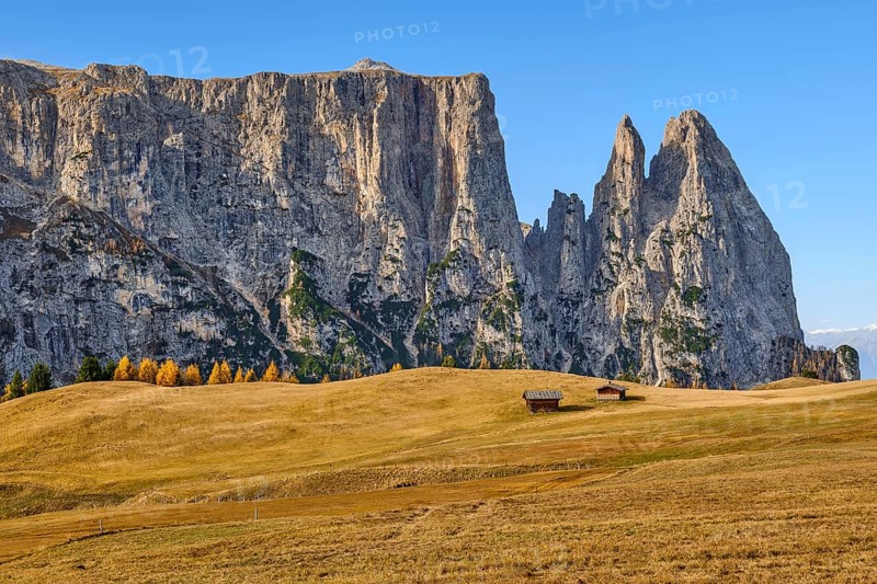 Alpine huts in front of Sciliar in autumn, blue sky, Dolomites, Alpe di Siusi, South Tyrol