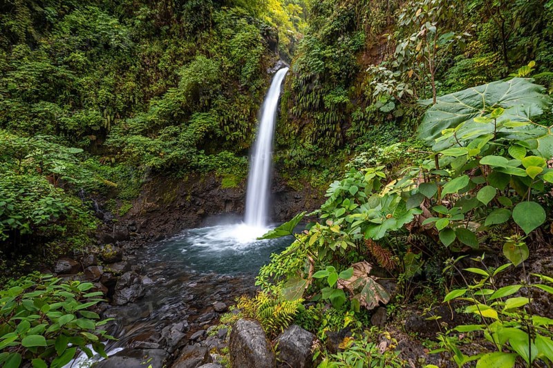 La Paz waterfall, waterfall in dense green vegetation, long exposure, Alajuela province, Costa Rica, Central America