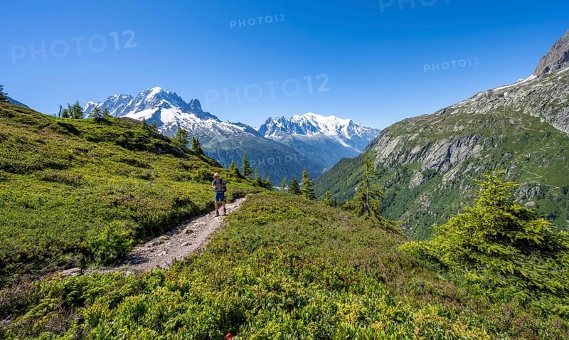 Mountaineer on hiking trail, mountain panorama with glaciated mountain peaks, Aiguille Verte with Aiguille du Midi and Mont Blanc, hike to Aiguillette des Posettes, Chamonix, Haute-Savoie, France, Europe