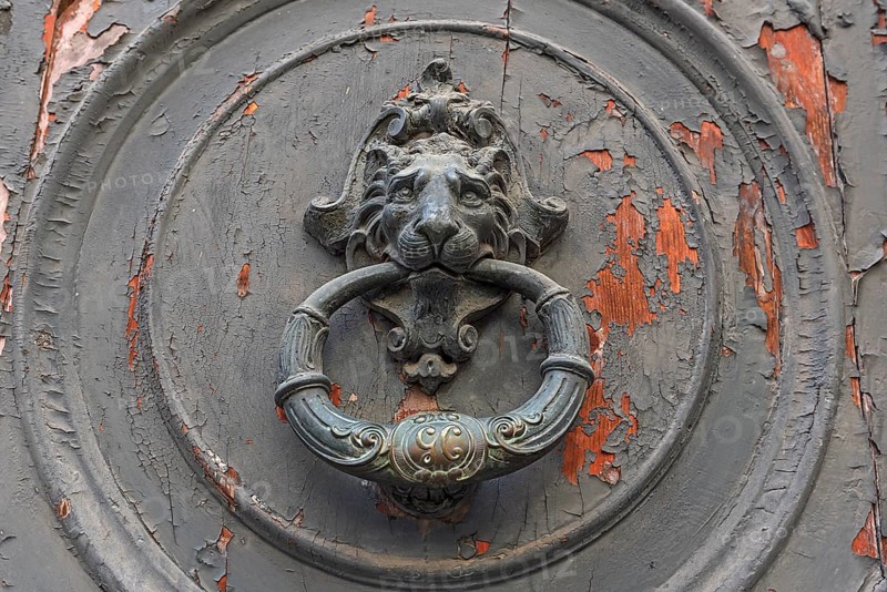 Door knocker with a lion's head on a front door in the historic centre, Genoa, Italy, Europe