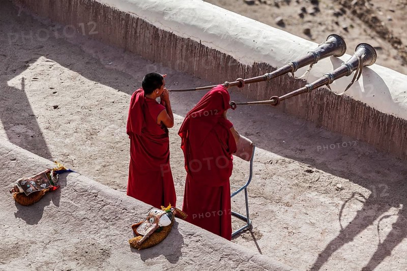 THIKSEY, INDIA, SEPTEMBER 4, 2011: Two Tibetan Buddhist monks blowing Tibetan horn (dungche) during morning pooja, Thiksey gompa, Ladakh, India, Asia