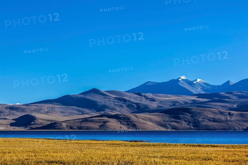 Himalayan lake Tso Moriri on sunrise, Korzok, Ladakh, India, Asia