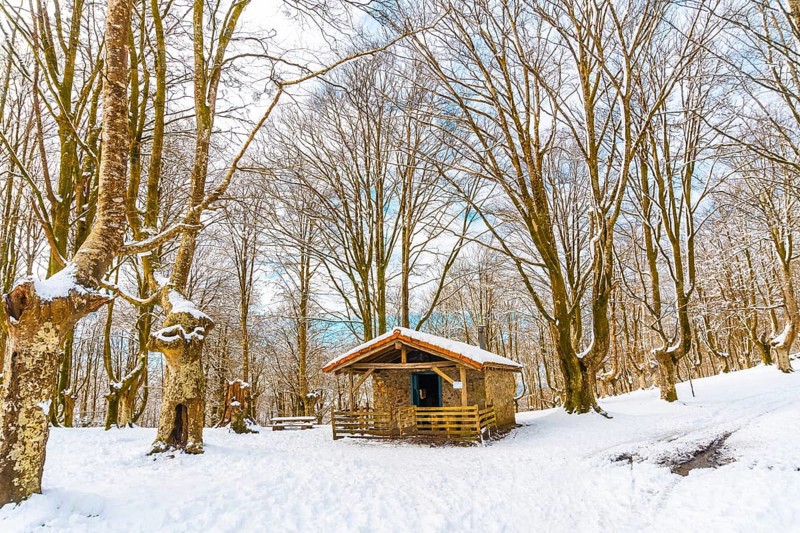 The refuge next to trees in the snow-covered Oianleku Natural Park in the town of Oiartzun, next to Peñas de Aya in winter, Gipuzkoa. Basque Country