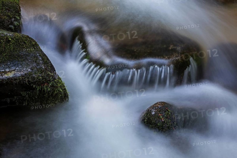 Gertelbach, Gertelbach Waterfalls, Gertelbach Falls, close-up, Gertelbach Gorge, Bühl, Bühlertal, Northern Black Forest, Black Forest, Baden-Württemberg, Germany, Europe
