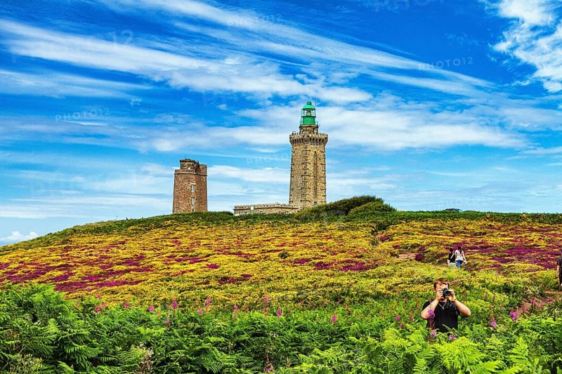 Flowering, colourful moorland, walkers on footpath to lighthouse, Cap Fréhel in summer, Emerald Coast, Brittany, France, Europe