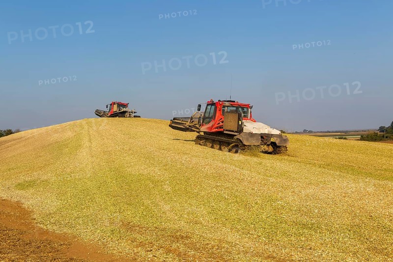 Piston Bully tracked bulldozer vehicles building silage clamp of sweetcorn maize in field stored for biofuel, Alderton, Suffolk, England, UK