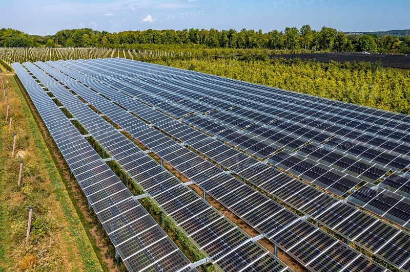 Agri-photovoltaic test plant, an apple orchard with two different systems of PV modules was roofed over 3000 square metres, rain and sunlight comes through, at the same time protection against hail and heavy rain, next to it are the same trees but without a solar roof, as a comparison object, how the PV roof affects the trees and harvest, the field test is accompanied by the Fraunhofer Institute for Solar Energy Systems ISE, in Grafschaft-Gelsdorf, Rhineland-Palatinate, Germany, Europe