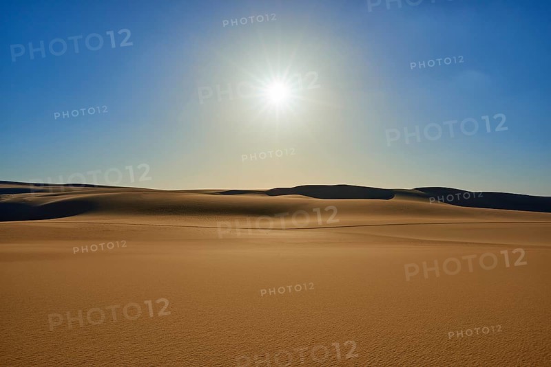 The endless expanse of a desert with golden sand dunes under a bright blue sky and the glistening sun, Matruh, Great Sand Sea, Libyan Desert, Sahara, Egypt, North Africa, Africa