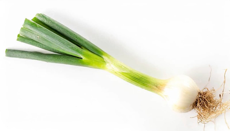 Vegetable, spring onion or spring onion, also known as winter onion, Allium fistulosum