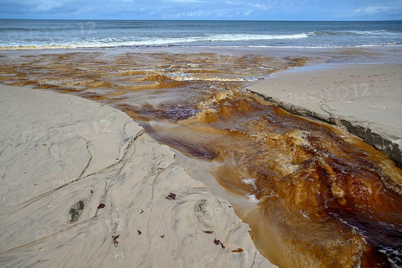 Tannic water from the Congo Basin flows into the sea, Petit Loango, Loango National Park, Parc National de Loango, Ogooué-Maritime Province, Gabon, Africa