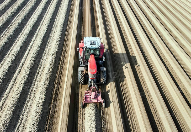 An aerial photo shows a tractor in a large asparagus field. Preparations for the asparagus season. The soil is loosened with a tiller at the front of the tractor, the rear tiller of the tractor creates the typical asparagus mound, Klaistow, Germany, Europe