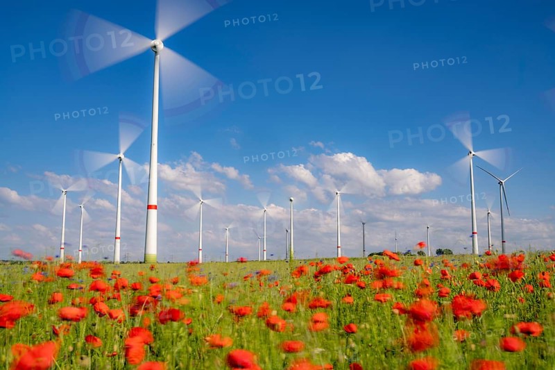Wind farm, field with flower strips, insect-friendly border of fields with mixed flowers, poppies, north of Marsberg, Hochsauerlandkreis, North Rhine-Westphalia, Germany, Europe