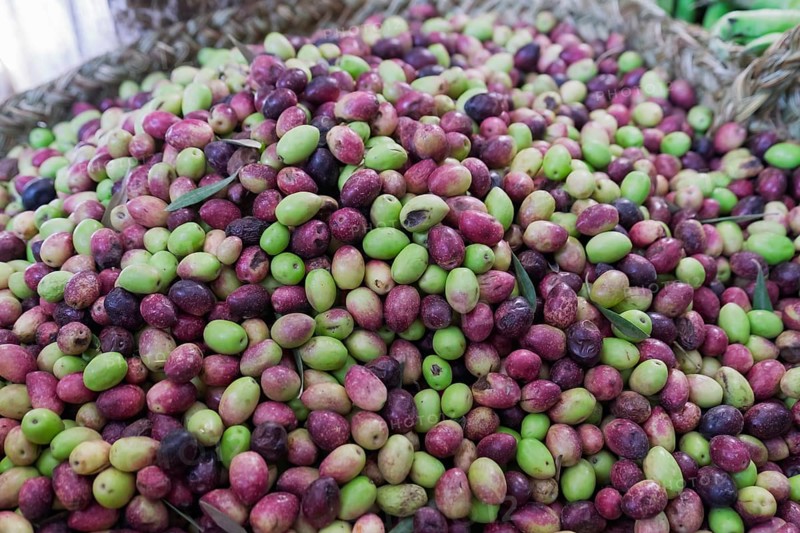 Selling olives at a traditional Moroccan market, Medina Fes, Morocco, Africa