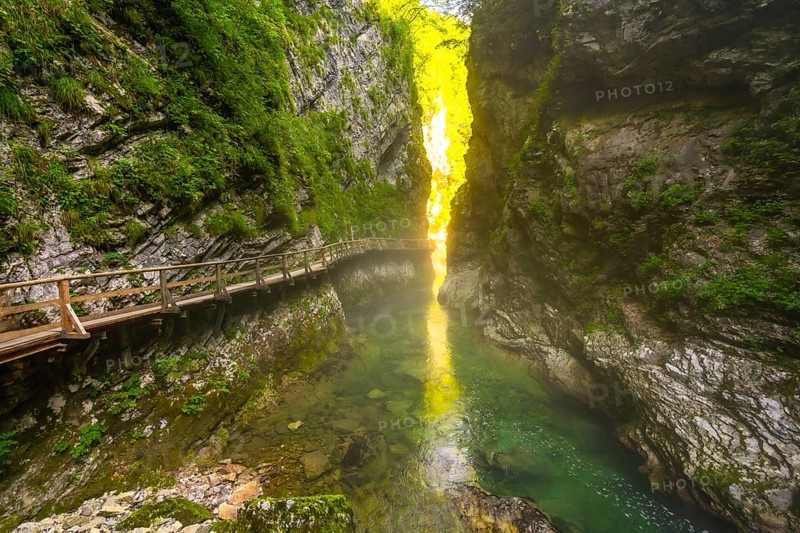 Sunlight illuminates moss covered cliffs and clear water flowing through vintgar gorge near bled, slovenia