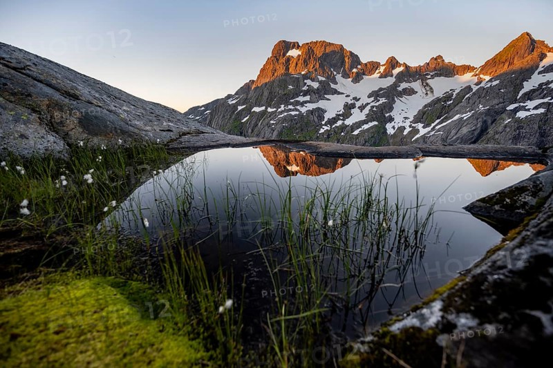 Rocky mountain peaks with reflection, small pond with cotton grass in moor landscape at Trollfjord Hytta, mountain landscape with alpenglow at sunrise, at Trollfjord, Lofoten and Vesterålen, Nordland, Norway, Europe