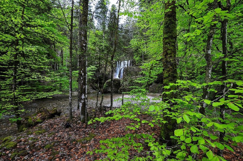 Waterfall at the Steigbach in the Steigbachtobel near Immenstadt in Oberallgäu, Bavaria, Germany, Europe
