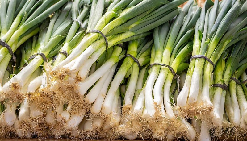 Vegetable, spring onion or spring onion, also known as winter onion, Allium fistulosum, in a bunch at a market stall