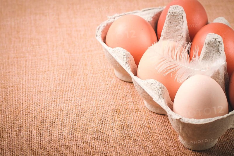 Fresh eggs, in cardboard containers, carriage, brown