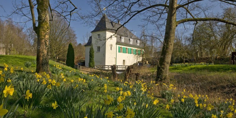Goldberg Mill in spring, historical sight, Mettmann, Bergisches Land, North Rhine-Westphalia, Germany, Europe