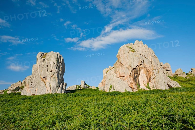 Striking boulders surrounded by ferns on the Pink Granite Coast in Brittany, France, Europe