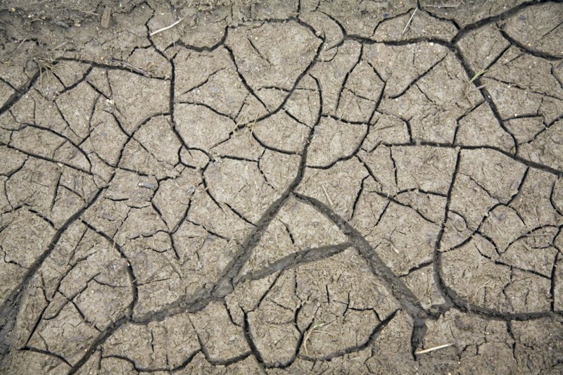 Cracked soil surface, Suffolk, England, UK