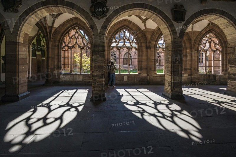 Cloister, Basel Minster, Basel, Canton of Basel-Stadt, Switzerland, Europe