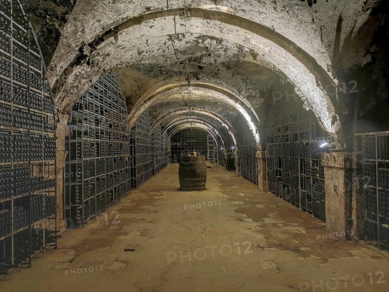 Wine cellar in Eberbach Abbey, Erbach Abbey, former Cistercian abbey near Eltville am Rhein, Hesse, Germany, Europe