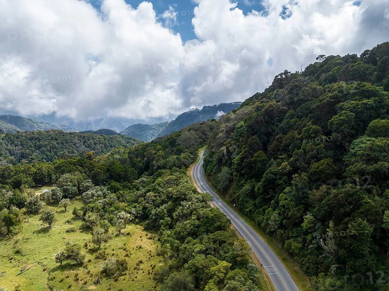 Aerial view, road in the highlands, Tapantí National Park, Cartago Province, Paraíso, Costa Rica, Central America
