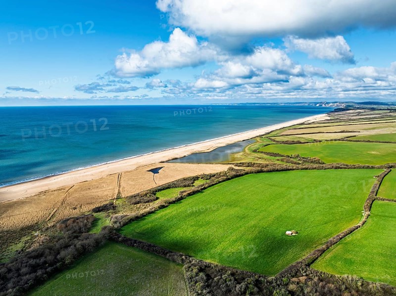 Farms over Swyre and West Bexington from a drone, West Bexington Nature Reserve, S W Coast Path, Dorchester, Dorset, England, United Kingdom, Europe
