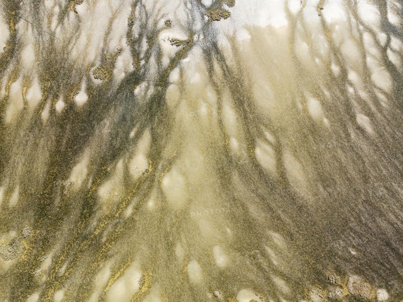 Marshland at low tide. Nature Reserve La Breña y Marismas del Barbate. Aerial view. Drone shot. Cádiz province, Andalusia, Spain, Europe