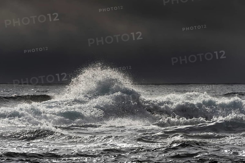 Surf, Wave, Reykjarfjörður, Strandir, Árnes, Westfjords, Iceland, Europe