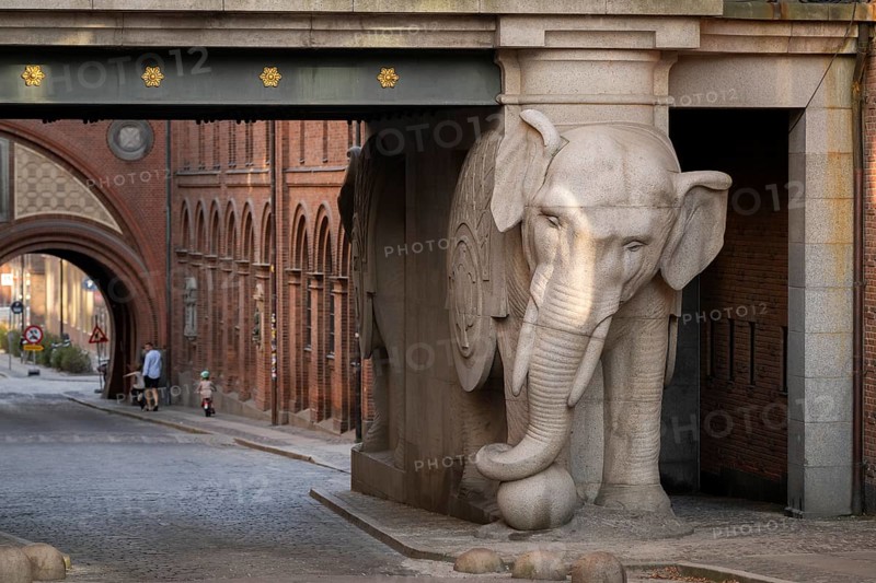 Monumental stone elephant, elephant gate or elephant portal or Elefantporten, designed by architect Vilhelm Dahlerup, Carlsbergbygen, Carlsberg neighbourhood, Valby, Copenhagen, Denmark, Europe