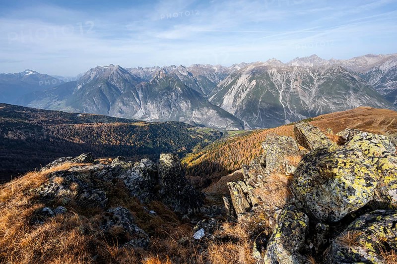 View from the ridge of the Venet to the mountain panorama of the Parzinn Group of the Lechtal Alps, yellow larches in autumn, Venet crossing, Ötztal Alps, Tyrol, Austria, Europe
