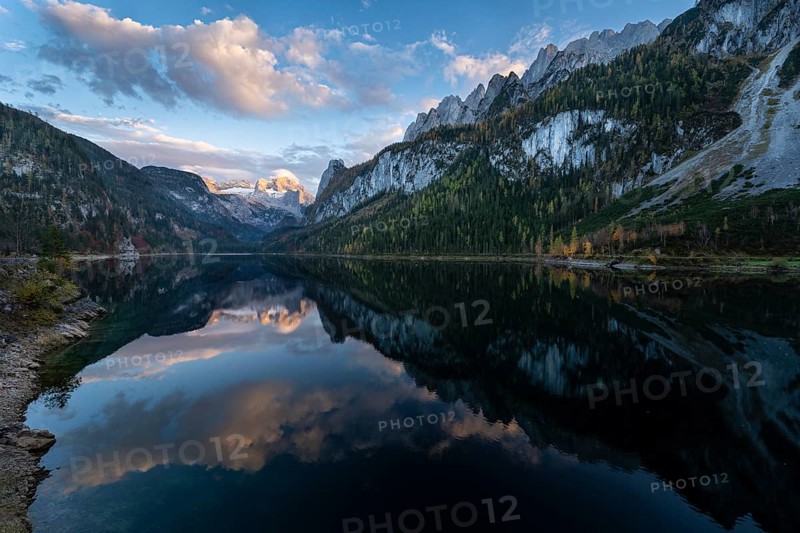 The Vordere Gosausee lake in autumn with a view of the Dachstein mountain range. The Gosaukamm on the right. Good weather, blue sky, a few clouds. Evening, golden hour. Reflection. Vorderer Gosausee, Gosau, Gosau valley, Salzkammergut, Upper Austria, Austria, Europe