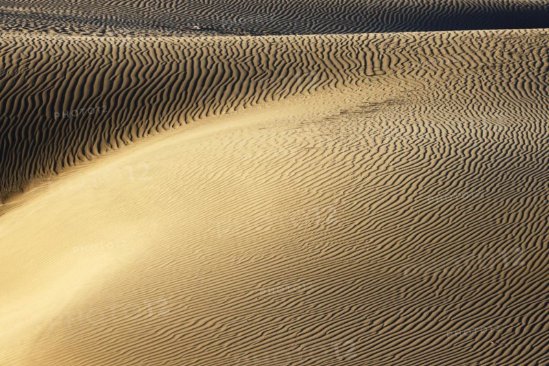 Maspalomas Dunes nature reserve, sand dunes in the evening light, Las Palmas province, Gran Canaria, Canary Islands, Spain, Europe