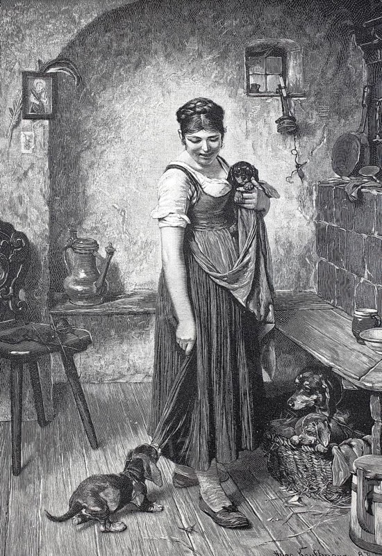 Offspring in the dog family, woman with dog basket and puppies in the kitchen, around 1880, Germany, digital reproduction of an original 19th century model, historical, A woman in traditional dress stands in a rustic kitchen with dogs and a wood-burning stove, Europe