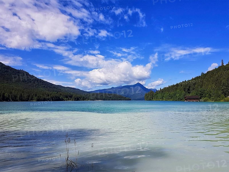 A clear lake with surrounding mountains and wooded slopes under a blue sky with white clouds, Walchensee, Jachenau, Bavaria, Germany, Europe