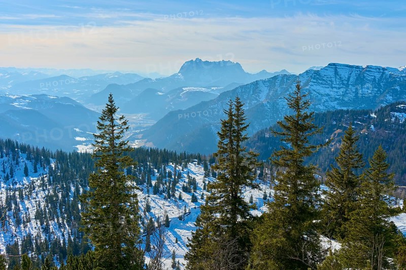 Snow-covered mountain landscape with fir trees in the foreground, Steinplatte, Waidring, Tyrol, Austria, Europe