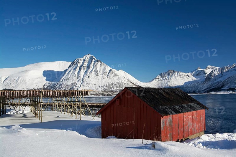 On the beach of Barstrand on the island of Gimsoymyrene, Lofoten, in Norway in winter, Norway, Scandinavia, Europe