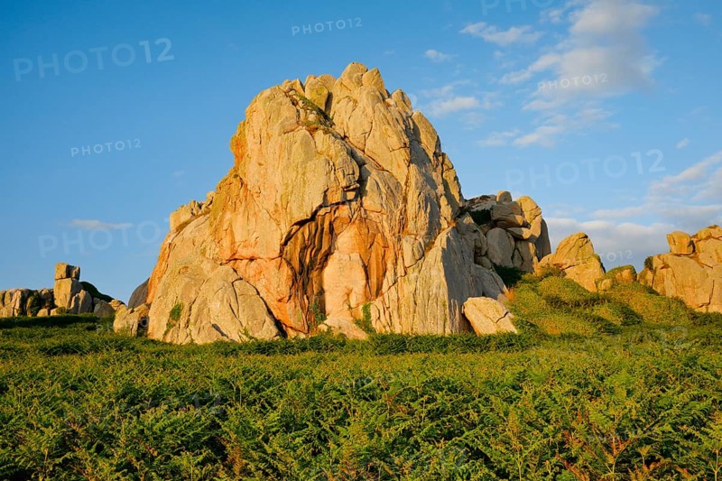 Large boulders in the evening light surrounded by ferns on the Pink Granite Coast in Brittany, Pors Scaff, Côtes-d'Armor, France, Europe