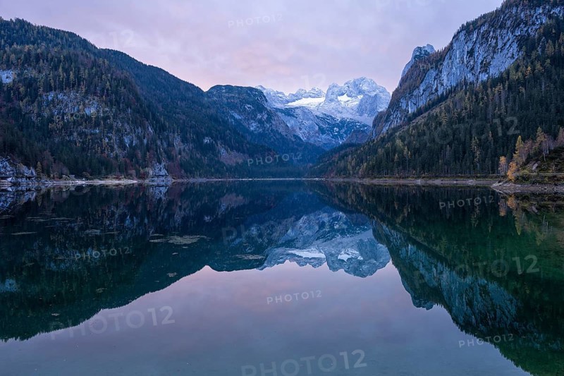 The Vordere Gosausee lake in autumn with a view of the Dachstein mountain range. The Gosaukamm on the right. Clouds in the sky, sunrise. Vorderer Gosausee, Gosau, Gosau valley, Salzkammergut, Upper Austria, Austria, Europe