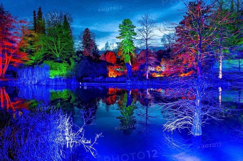 Parkleuchten, event in winter, in the Grugapark in Essen, many different light installations, across the park, attract many thousands of visitors, North Rhine-Westphalia, Germany, Europe