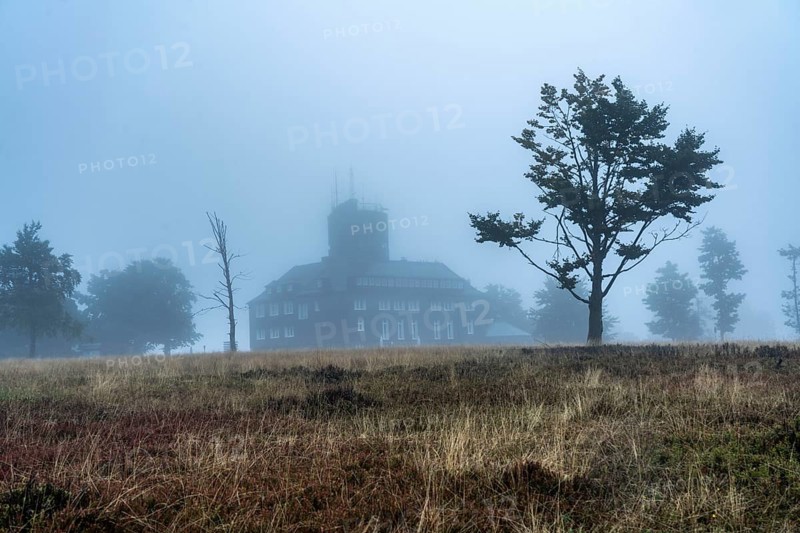 The high heath on the Kahler Asten, mountain in the Sauerland, in autumn fog, Winterberg, North Rhine-Westphalia, Germany, Europe