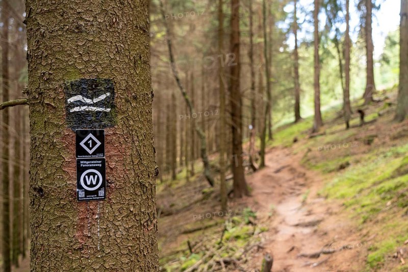 Hiking in the Sauerland, path near Jagdhaus, hiking sign, Rothaarsteig district of Schmallenberg, North Rhine-Westphalia, Germany, Europe