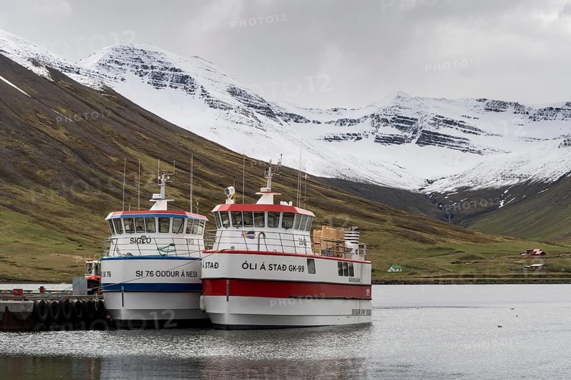 Fishing boats in the harbour, Siglufjörður, Norðurland eystra, Iceland, Europe