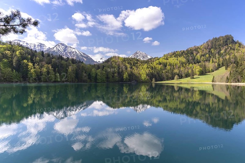 Alatsee in spring, Ostallgäu, Allgäu, Swabia, Bavaria, Germany, Europe