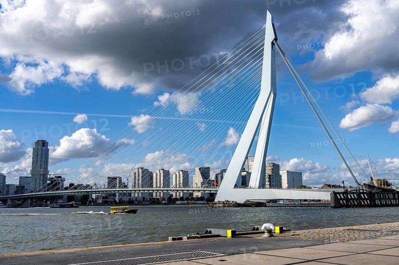 Skyline on the Nieuwe Maas, Erasmus Bridge, skyscrapers, water taxi, Rotterdam, Netherlands